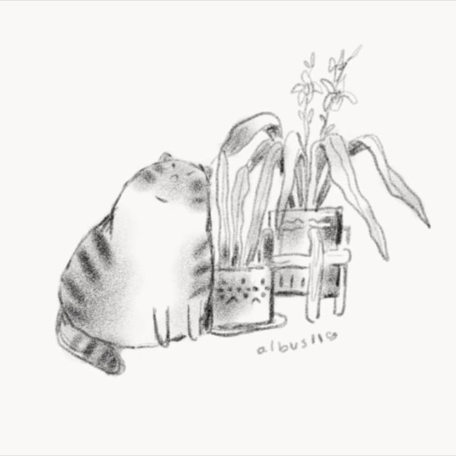 Illustration artwork