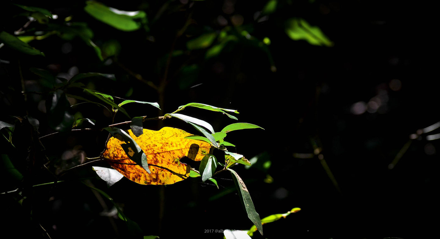 Photography artwork