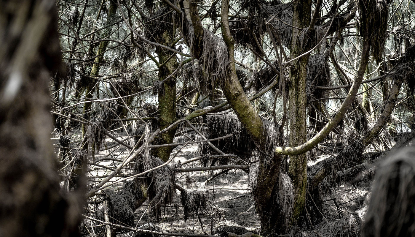 Photography artwork