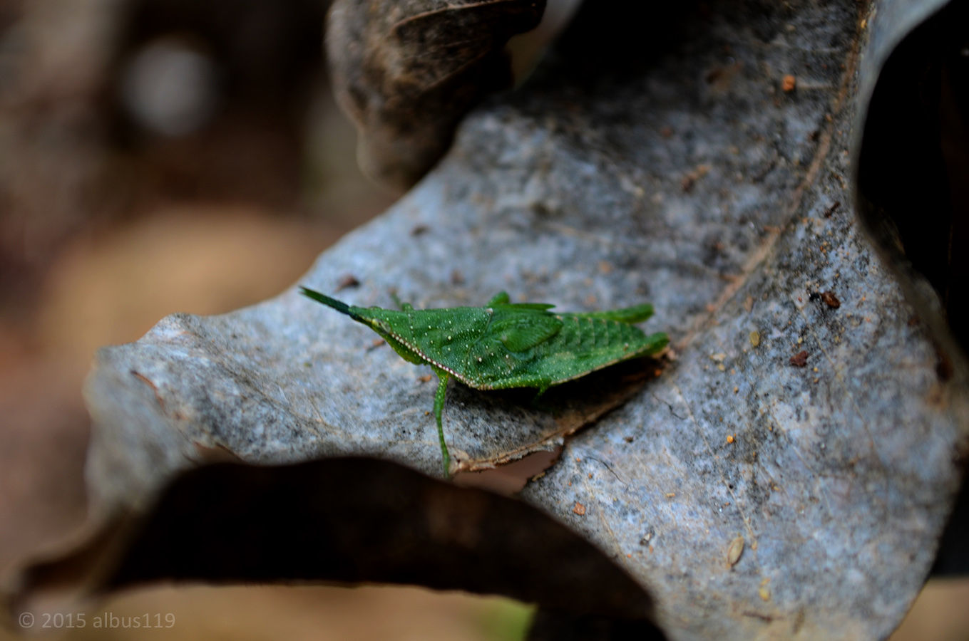 Photography artwork